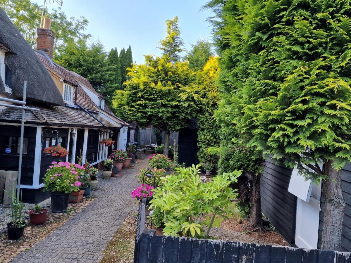 克利夫顿汉普登住宿加早餐宾馆 外观 照片